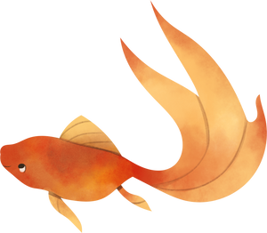 Watercolor Animal Fish